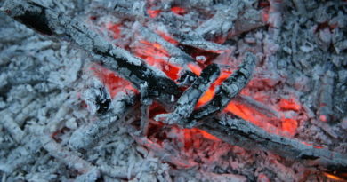 Прогоревшие дрова, угли и зола.