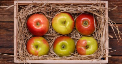 Правильные условия для долгого хранения яблок