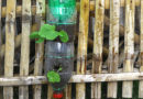 Полезное применение пластиковых бутылок на даче (Часть 11)