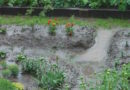 Чем укрепить дорожки между грядок, чтобы после дождя они не превращались в «болото»