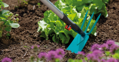 Как определить кислотность почвы в огороде